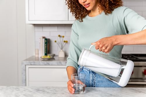 LifeStraw Home — Water Pitcher Replacement Pack, 1-Year Supply, for Protection Against Bacteria, Parasites, Microplastics, PFAS and 30+ contaminants