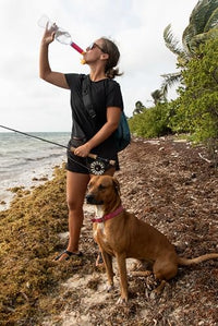 LifeStraw Peak Series — Solo Personal Water Filter for Hiking, Camping, Travel, Survival and Emergency preparedness. Removes Bacteria, Parasites and Microplastics, Pink Lemonade