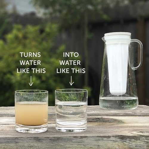 LifeStraw Home — Replacement Membrane Microfilter Filter for Everyday Protection Against Bacteria, Parasites, Microplastics, and 30+ contaminants